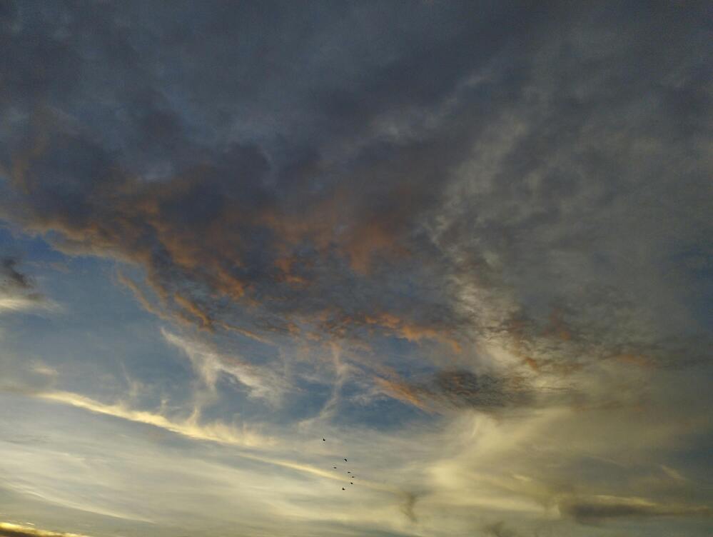 Photograph by Oviul Maruf