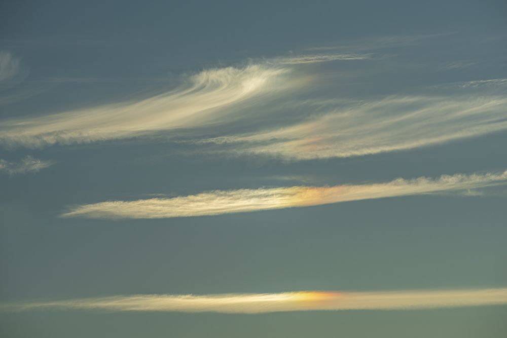 Photograph by Luca Menotti