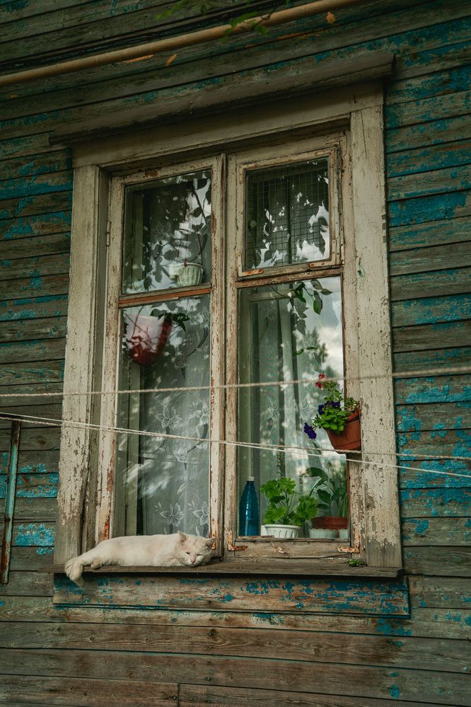 Photograph by Константин Семенюк