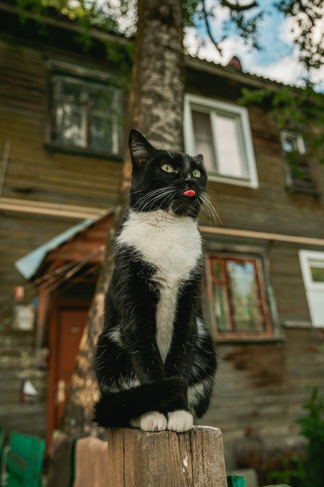 Photograph by Константин Семенюк
