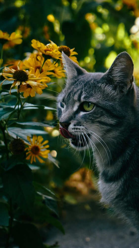 Photograph by Алексей Иванов