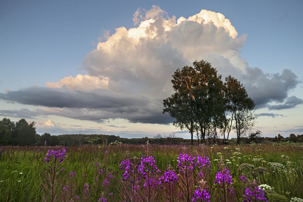 Облако над летним лугом