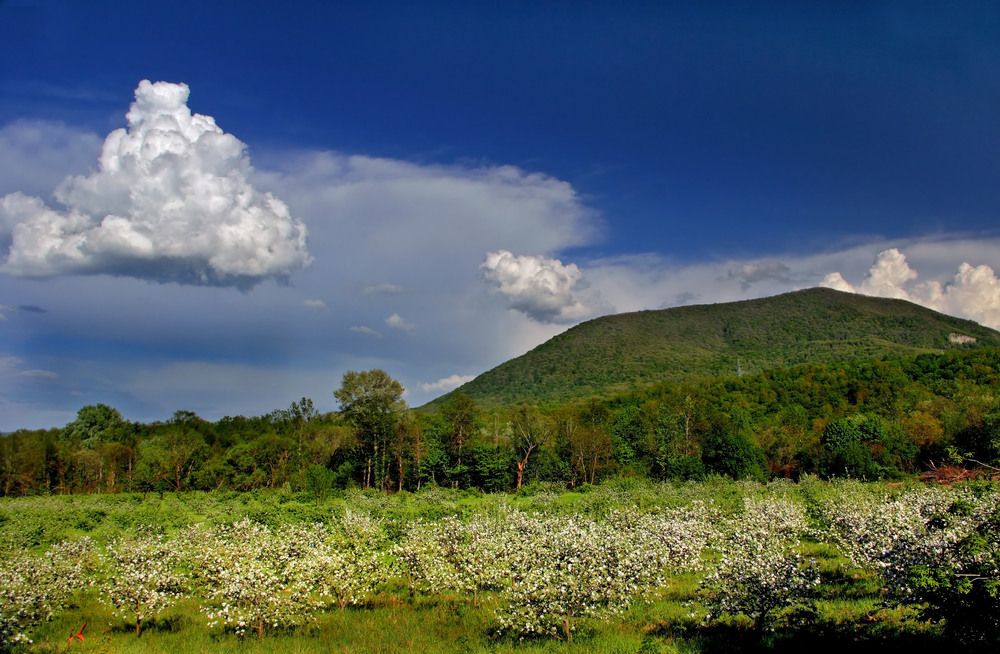 Фотография автора Владимир Волков