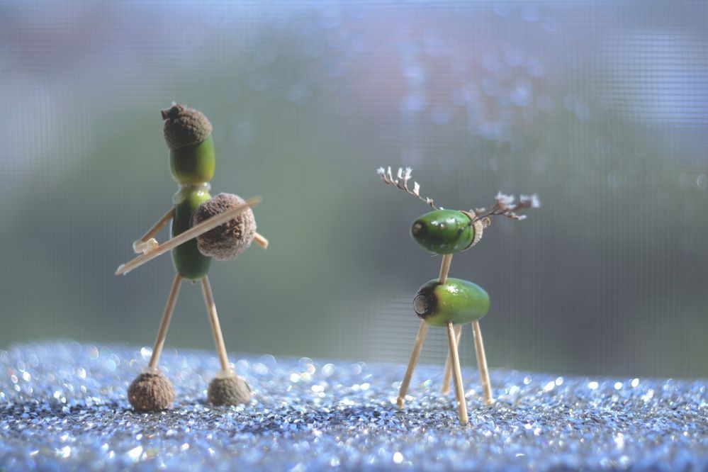 Photograph by Magic Helios