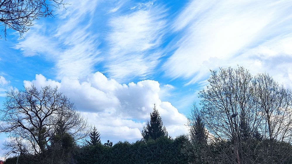 Photograph by Олена Бокова