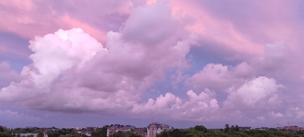 Розовый вечер