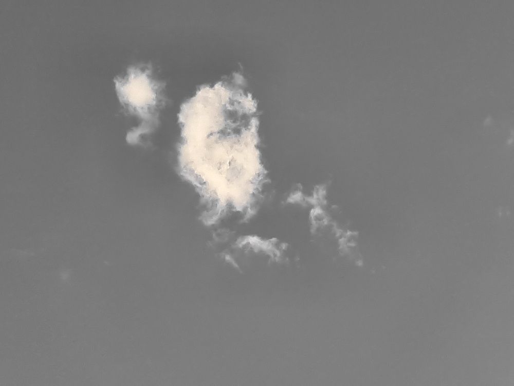 Photograph by Shahin