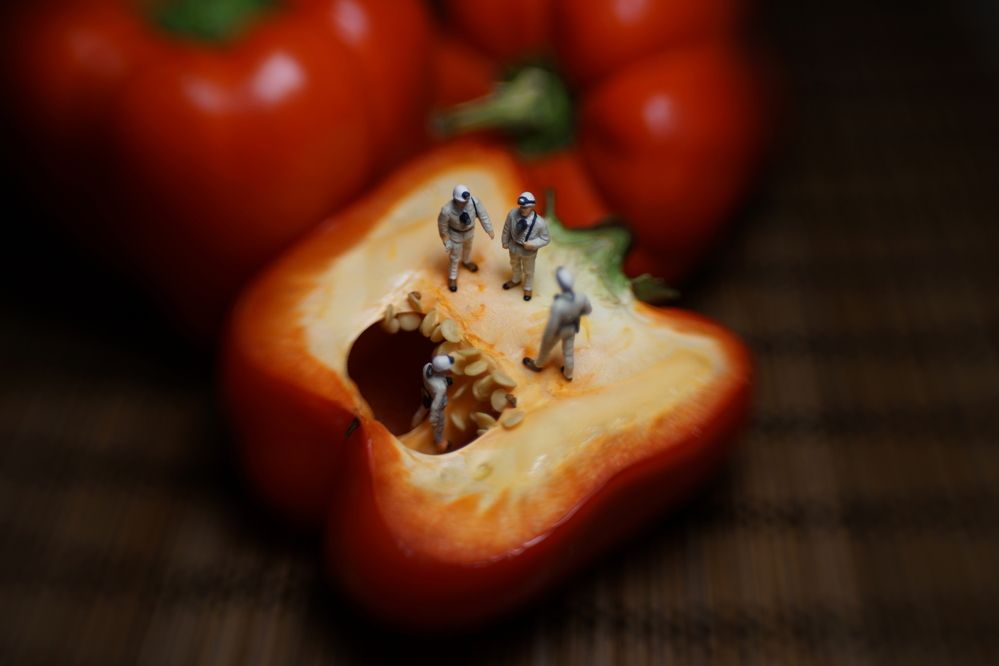 Фотография автора Сергей Чупахин