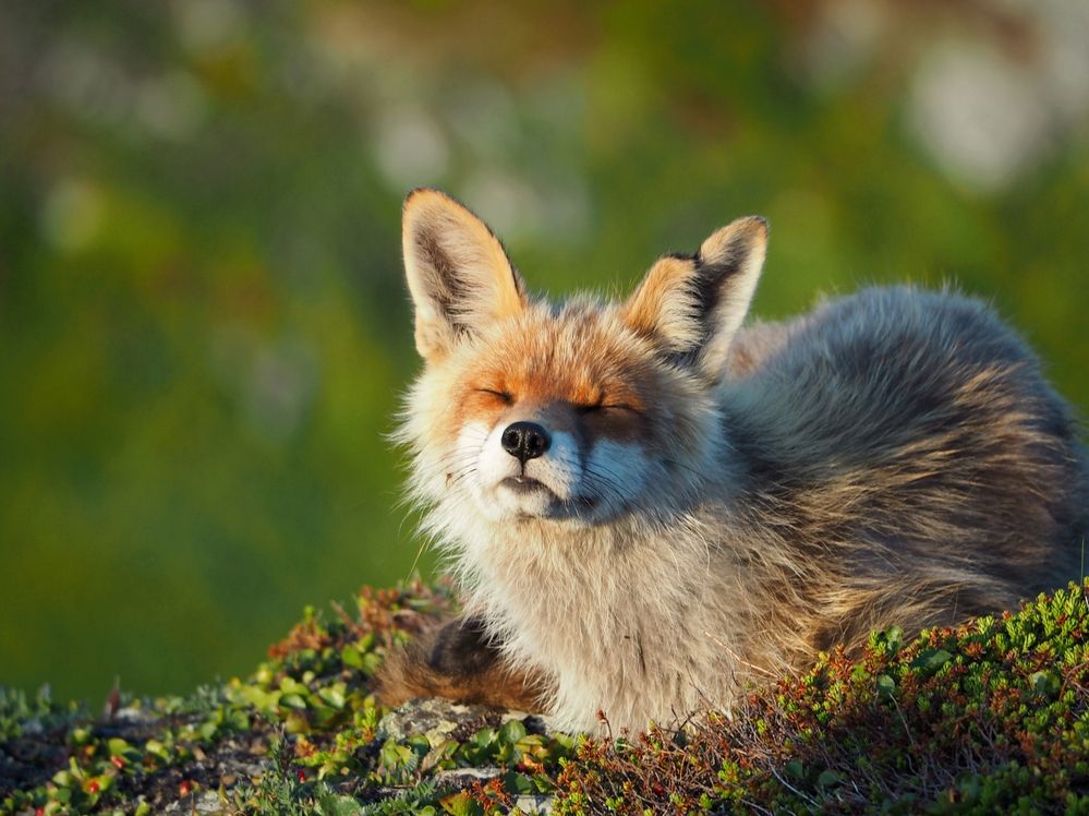 Photograph by Евгений Яковлев