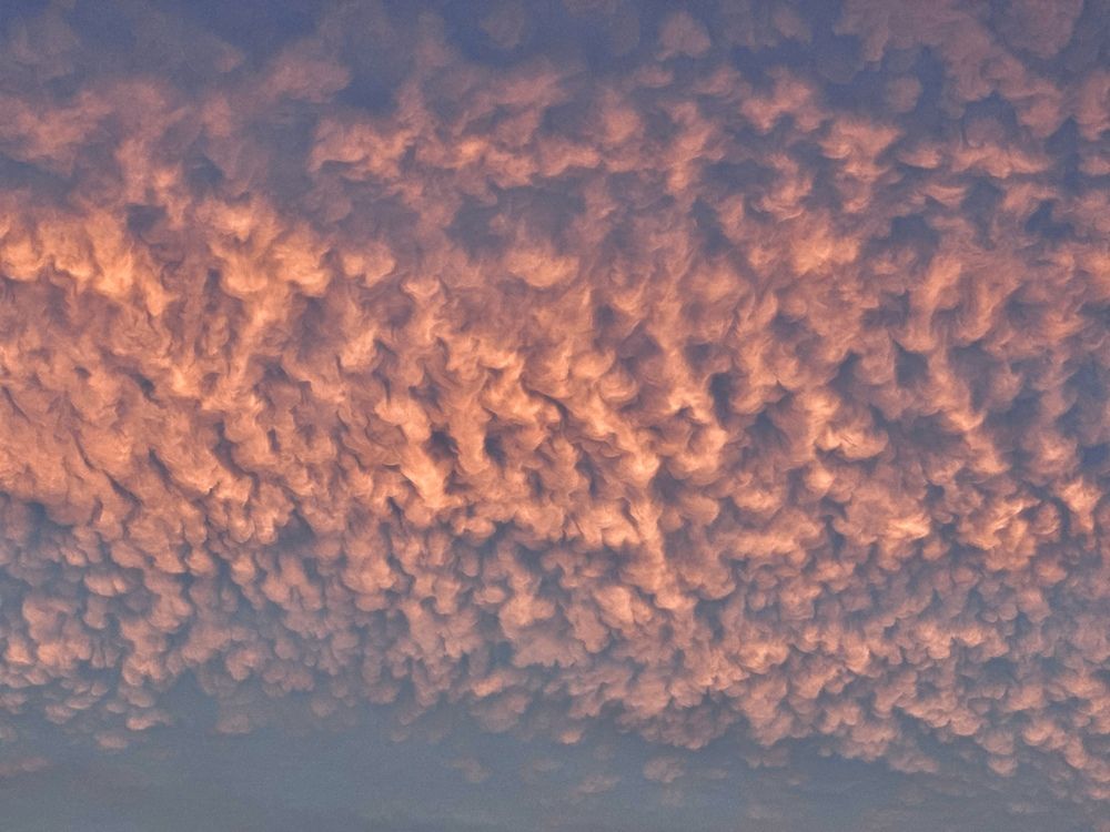 Photograph by Ляйсан Мубаракова