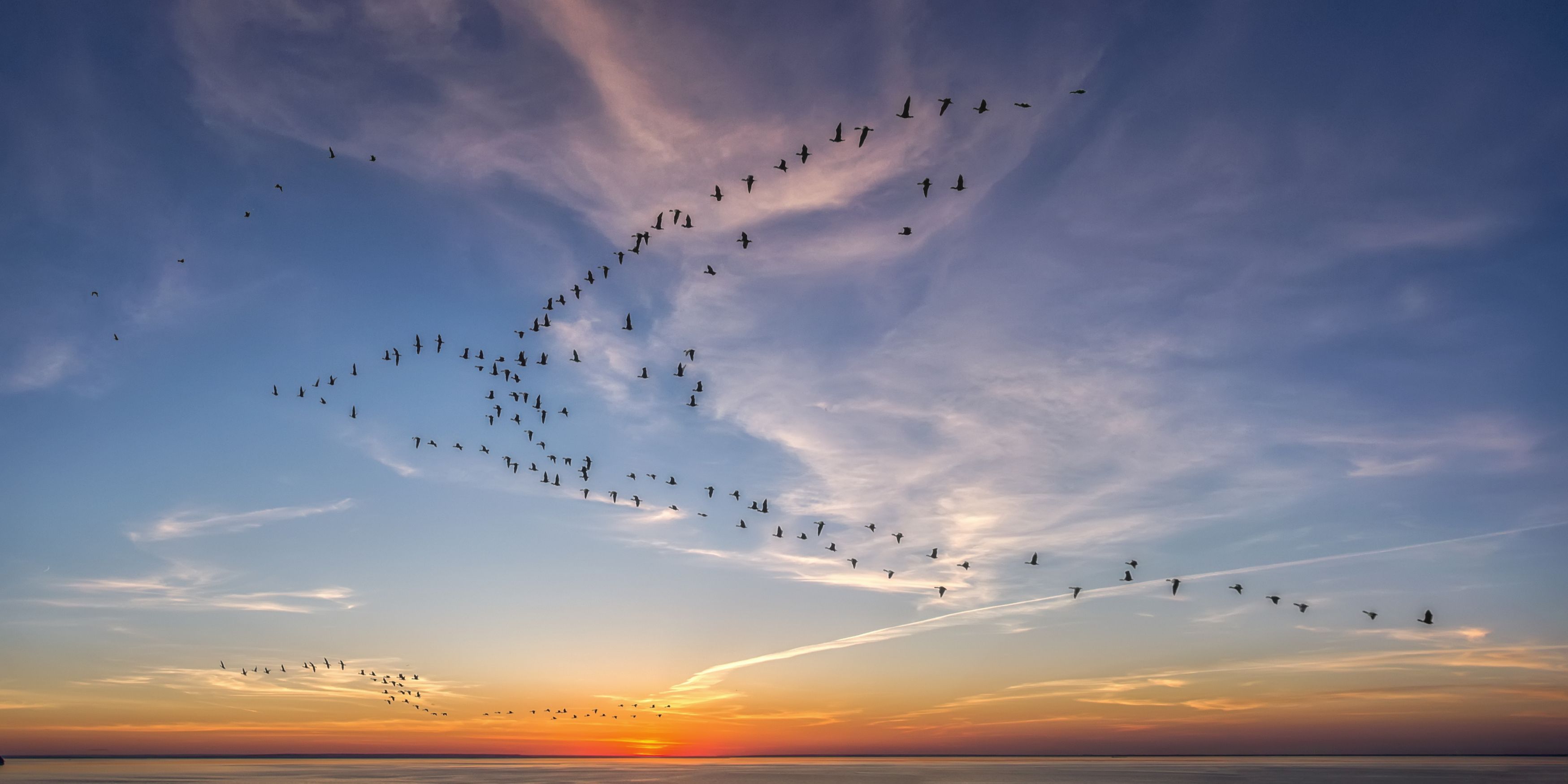 Photograph by олег кирюшкин