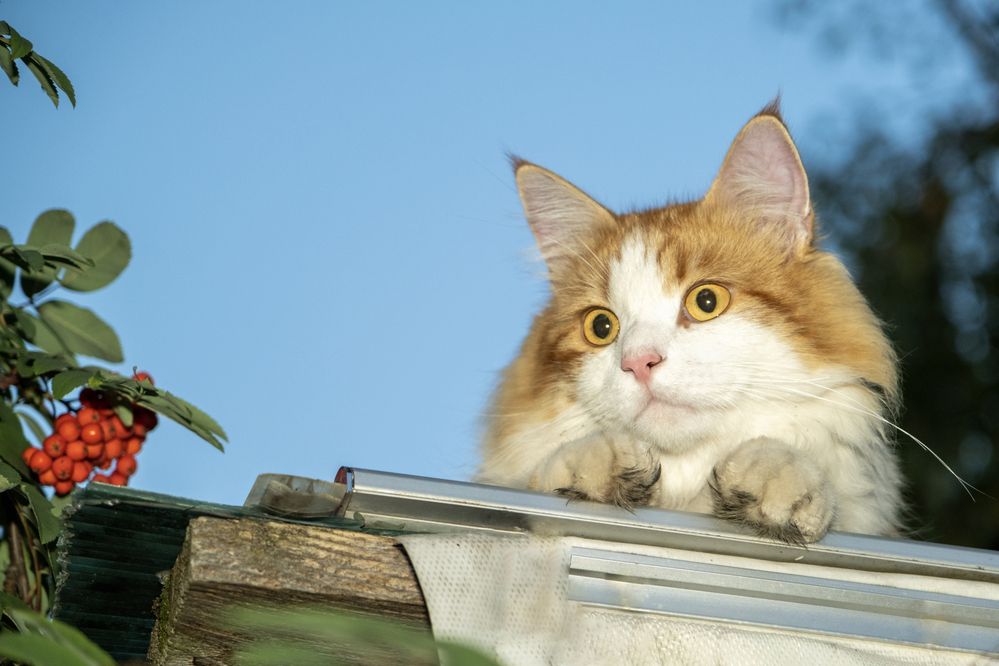 Photograph by Вадим Провоторхов