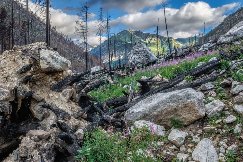 Photograph by Владимир Колесников