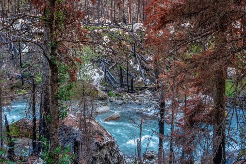 Photograph by Владимир Колесников