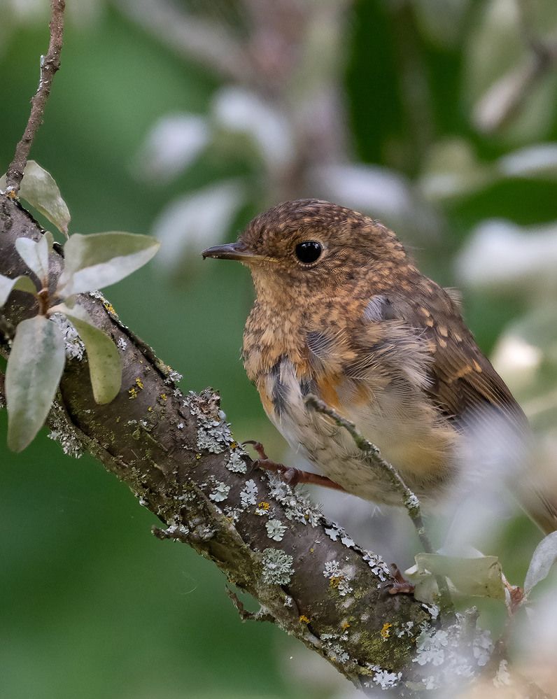 Photograph by Дмитрий Ткаченко