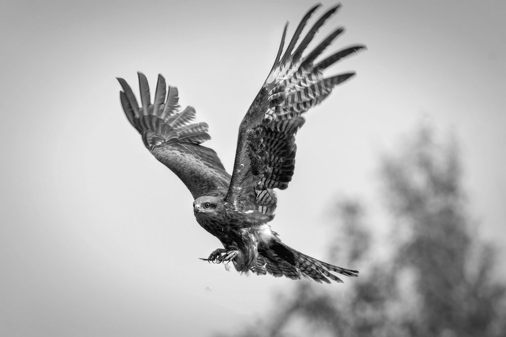 Photograph by Александр Перегудов