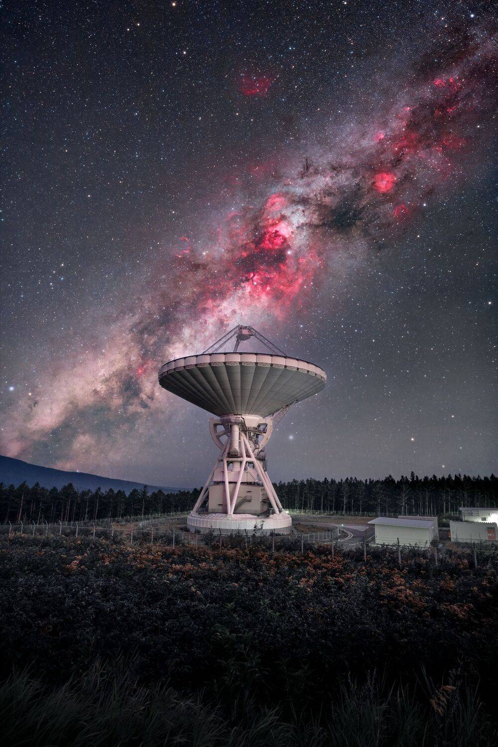 Фотография #12549509