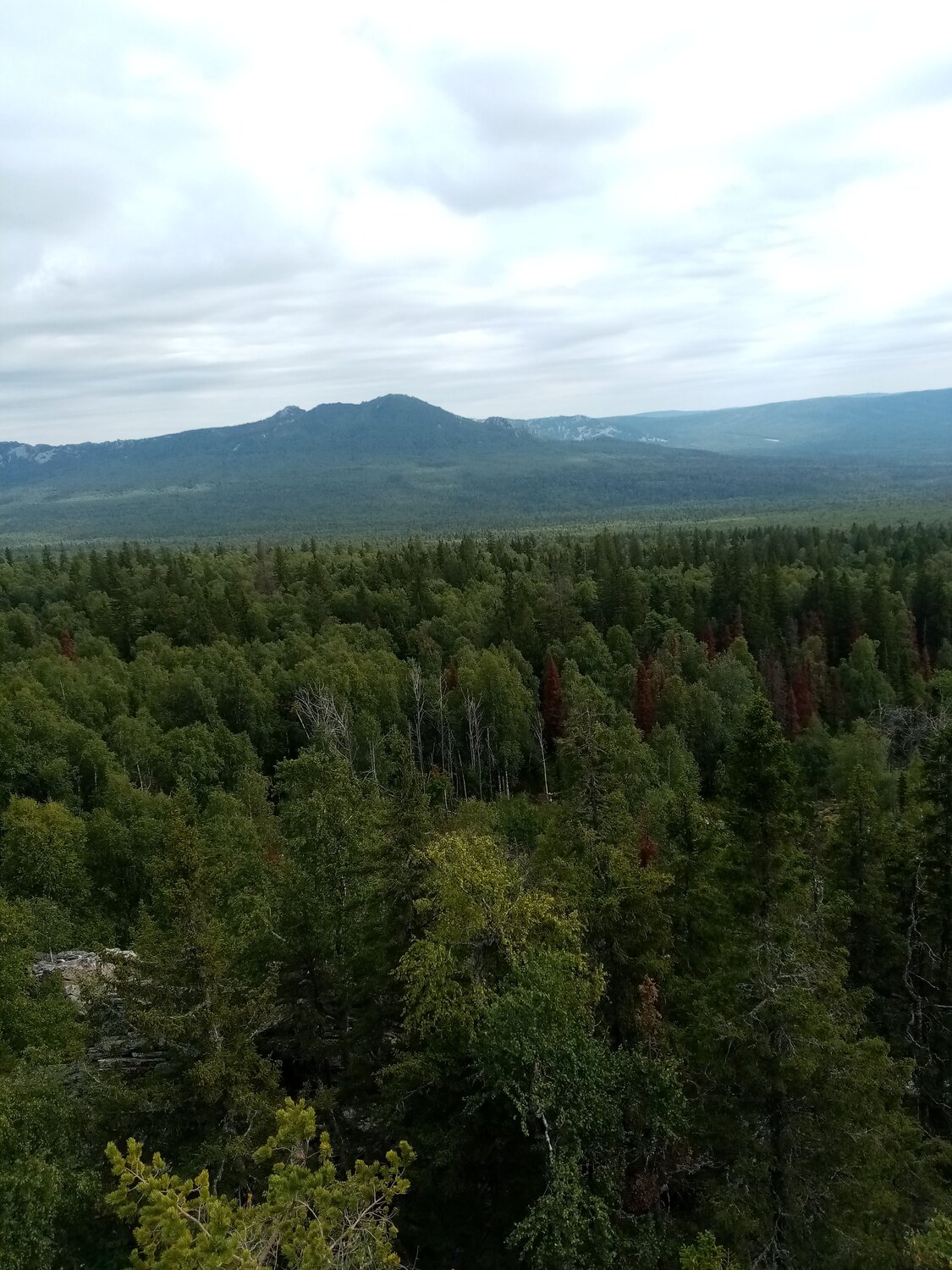 Photo #12549529