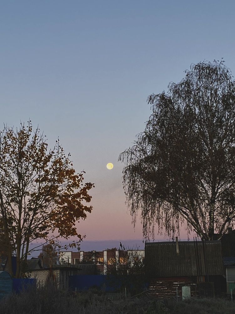 Photograph by Светлана Долганова