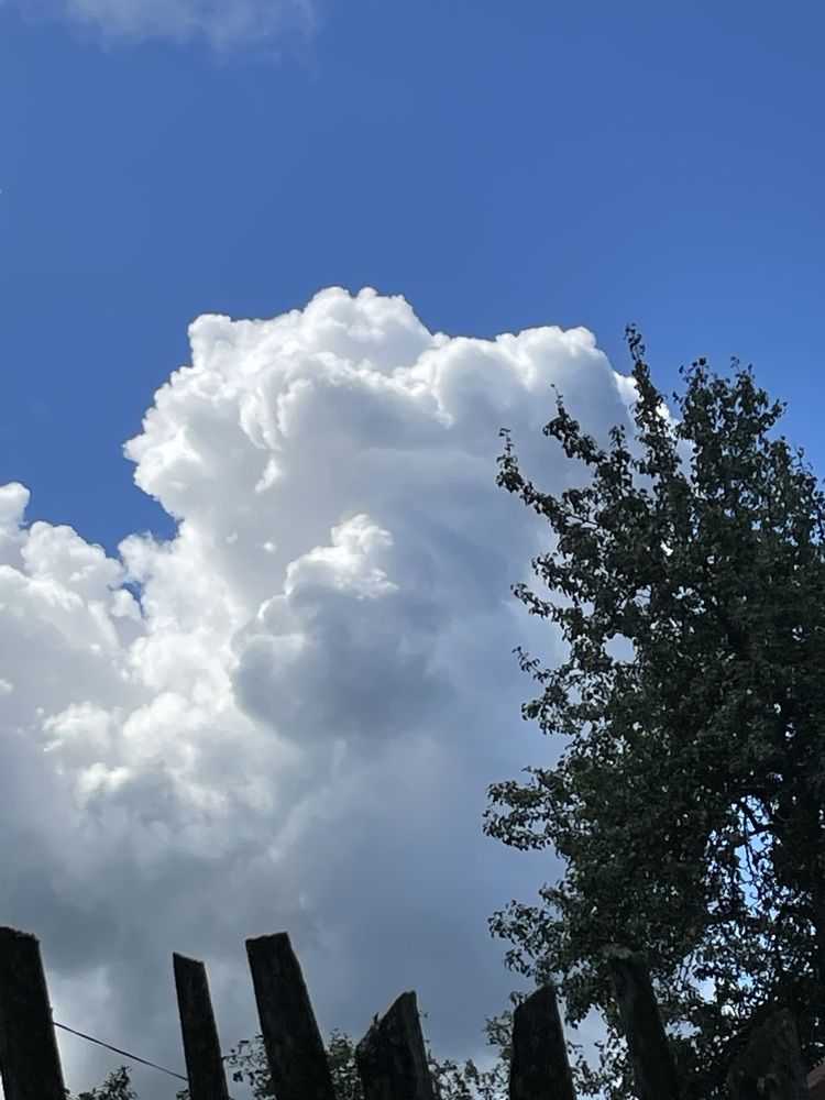 Photograph by Марина Мирошниченко