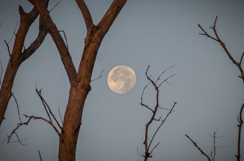 Photograph by Иван Достовалов