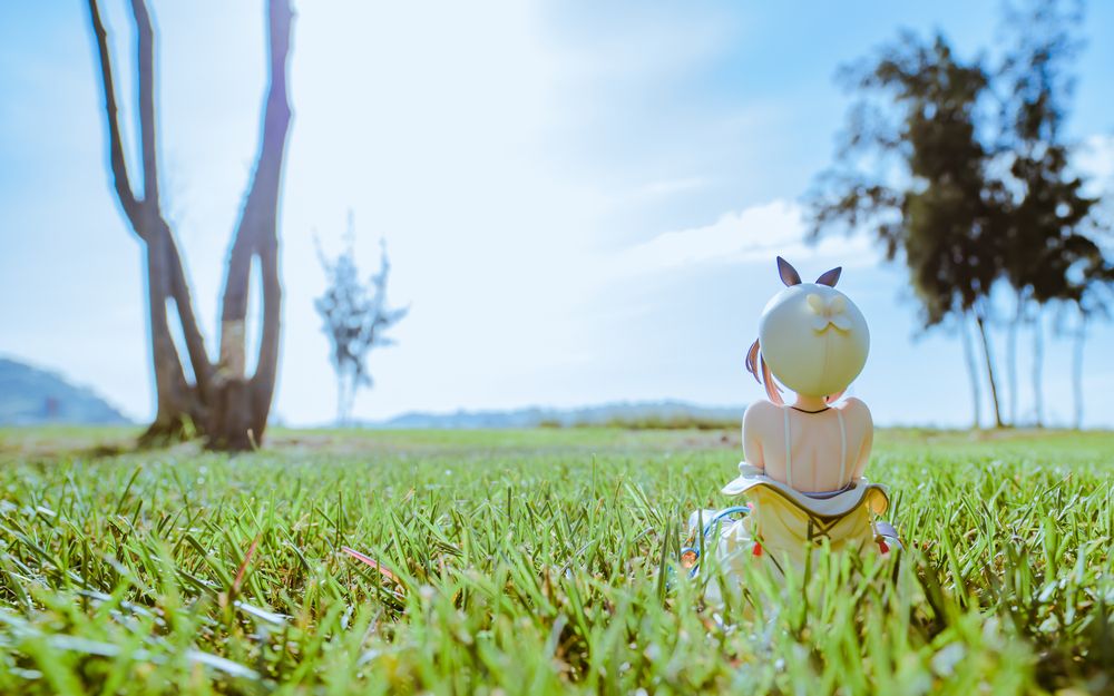 Photograph by answer