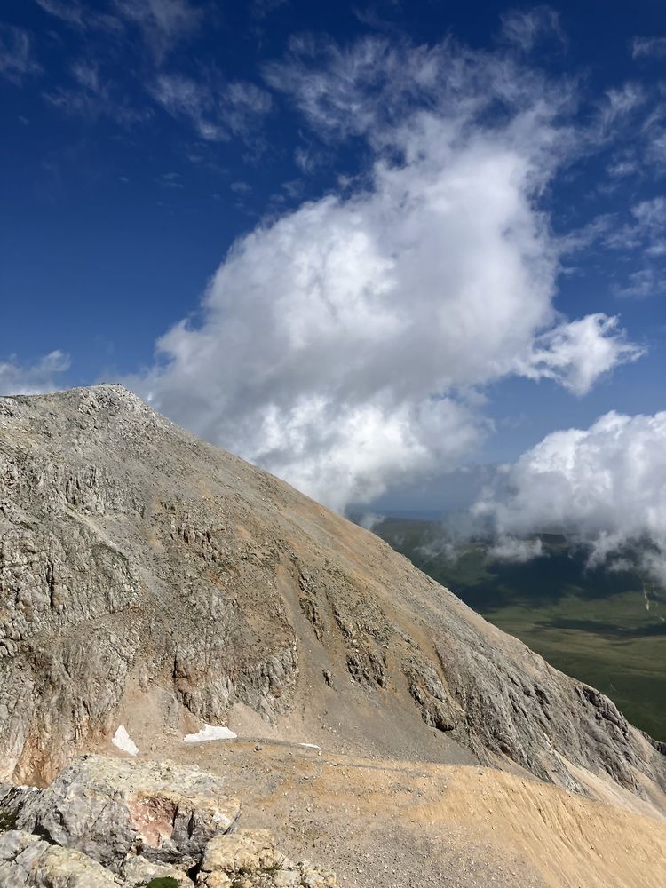 Фотография автора Ксения