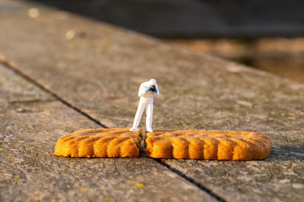 Фотография автора esti lahat