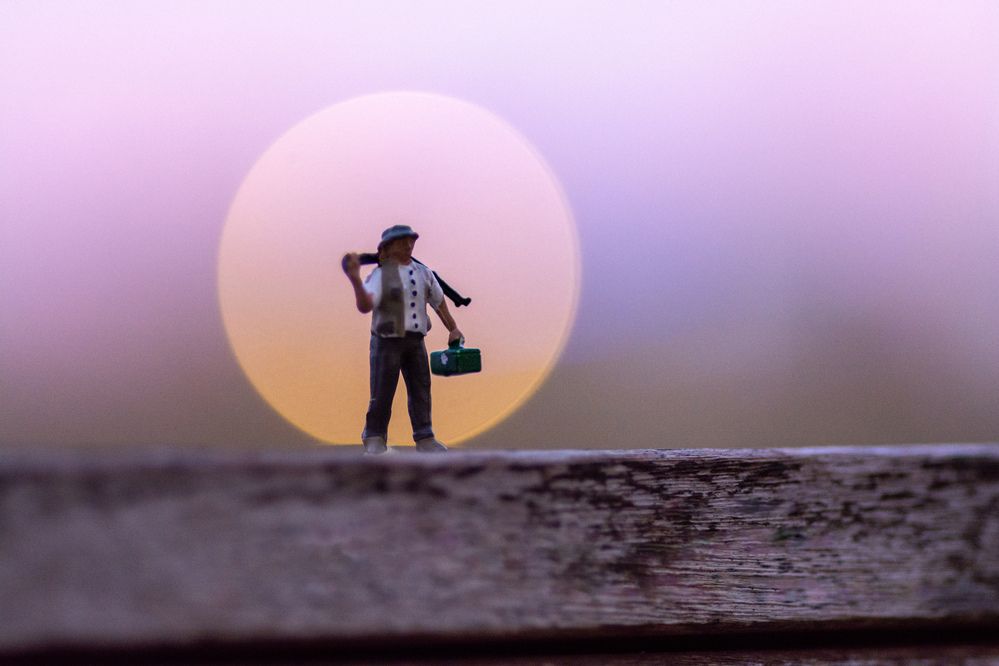 Photograph by esti lahat