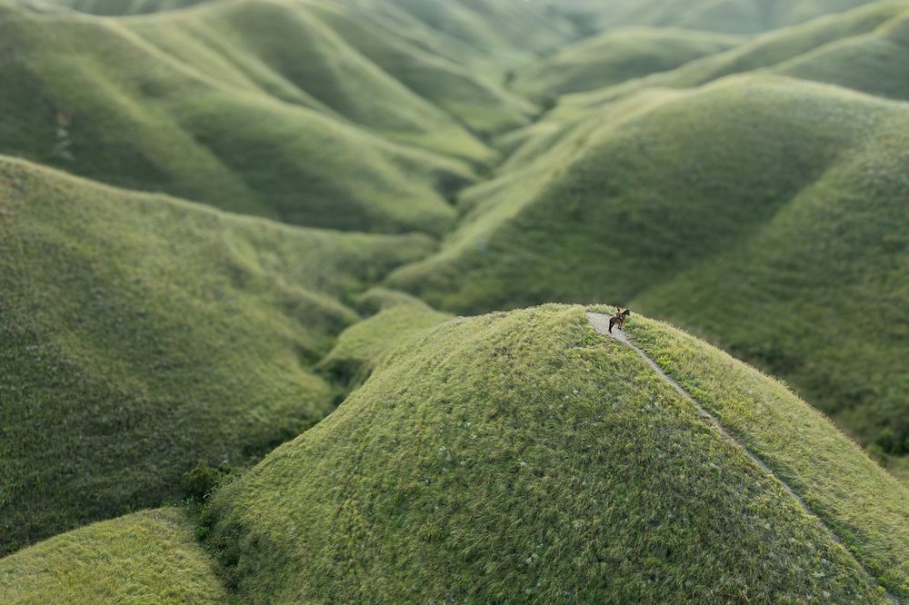 Photograph by Марина Маликова