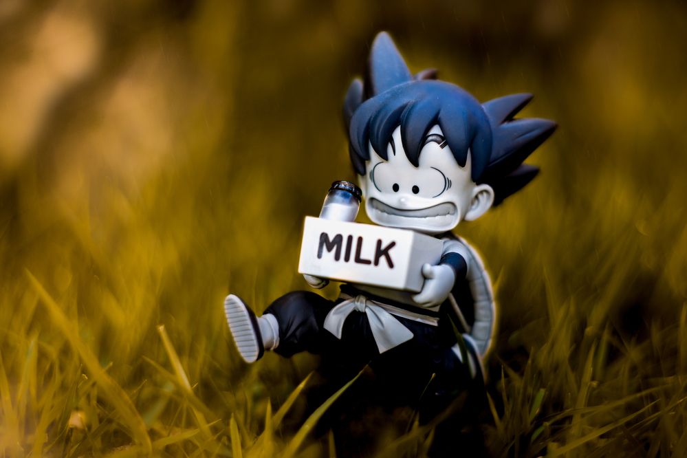 Фотография автора Gabriel de Araujo Almeida