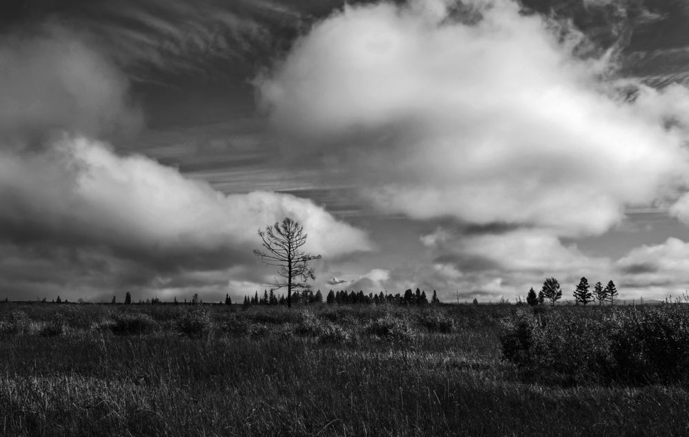 Photograph by Александр Попов