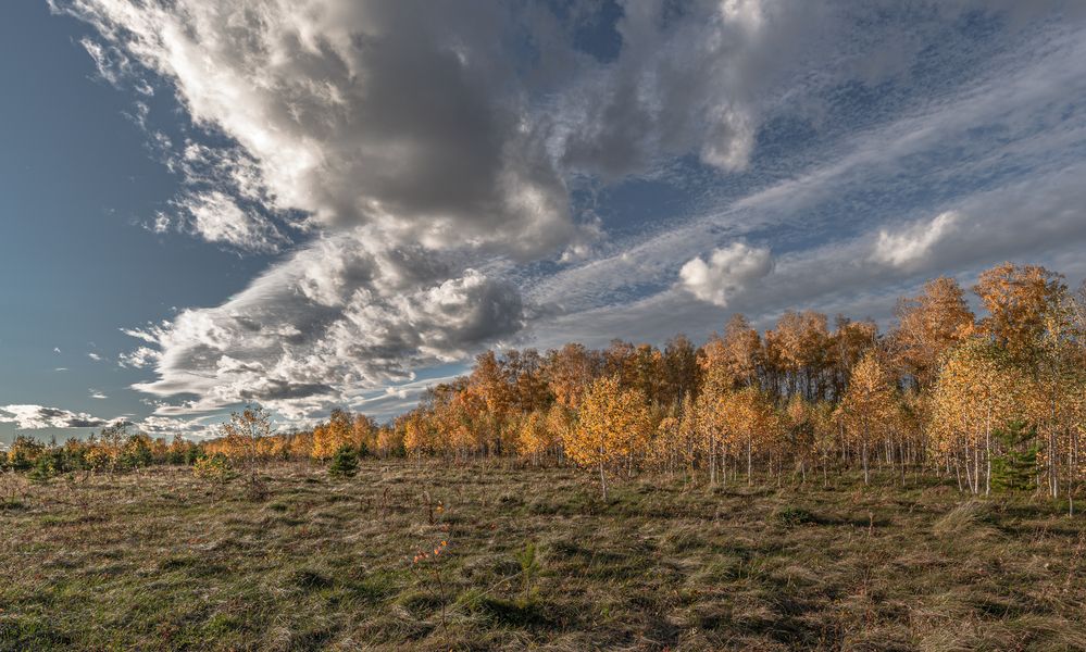 В ожидании перемен