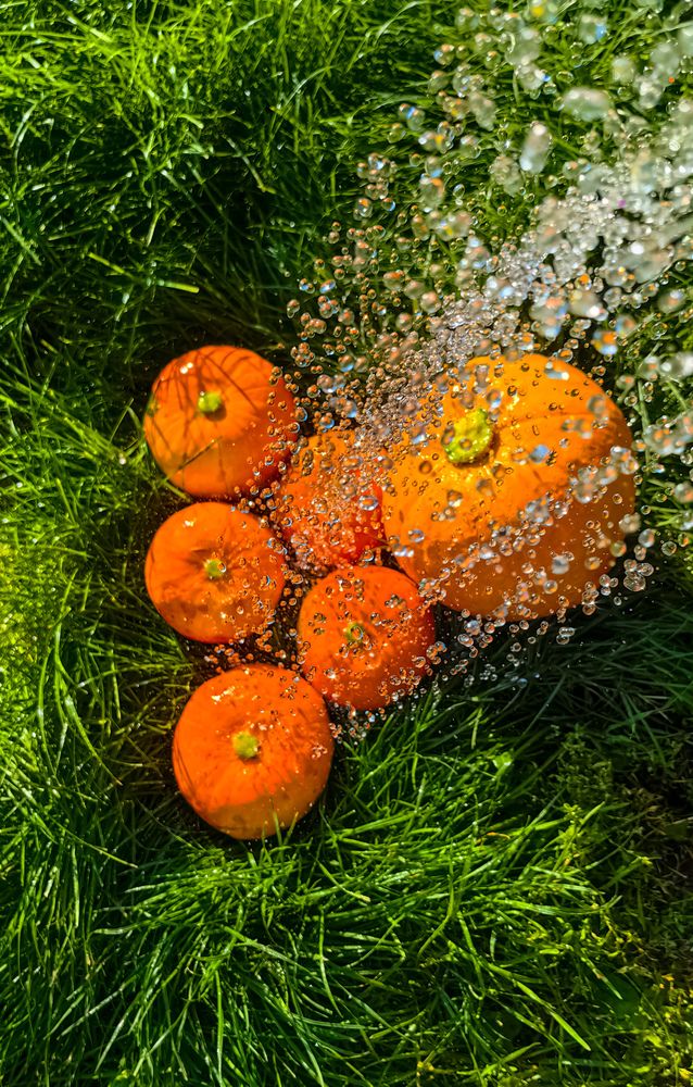 Photograph by Ирина Скворцова