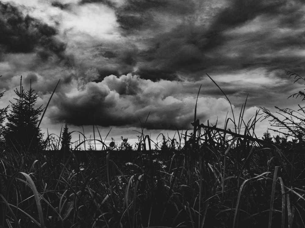 Photograph by Chelyshev Boris