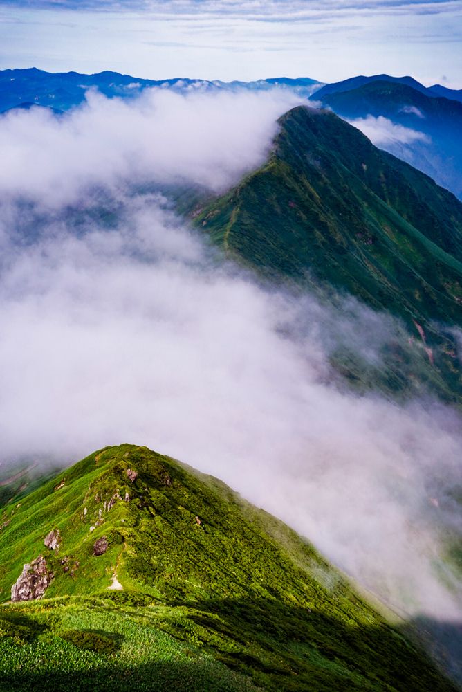 Photograph by TamaU TamaU