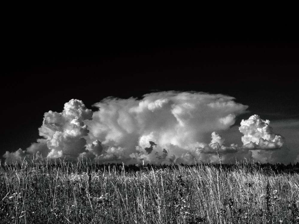 Photograph by Chelyshev Boris