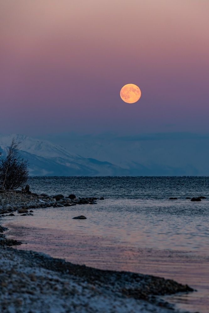 Photograph by Виктория Лобанова