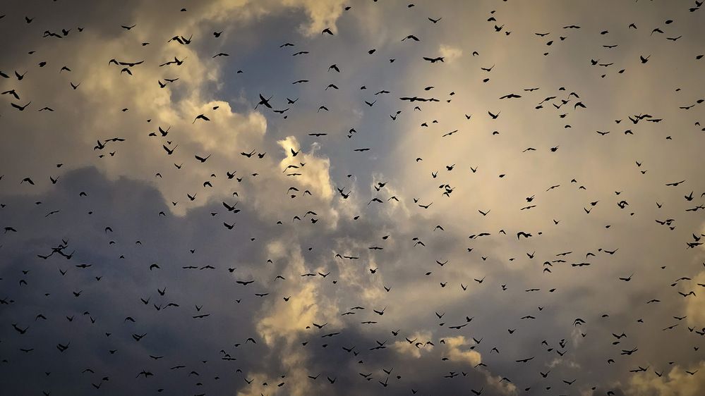 Photograph by Пирог Борис