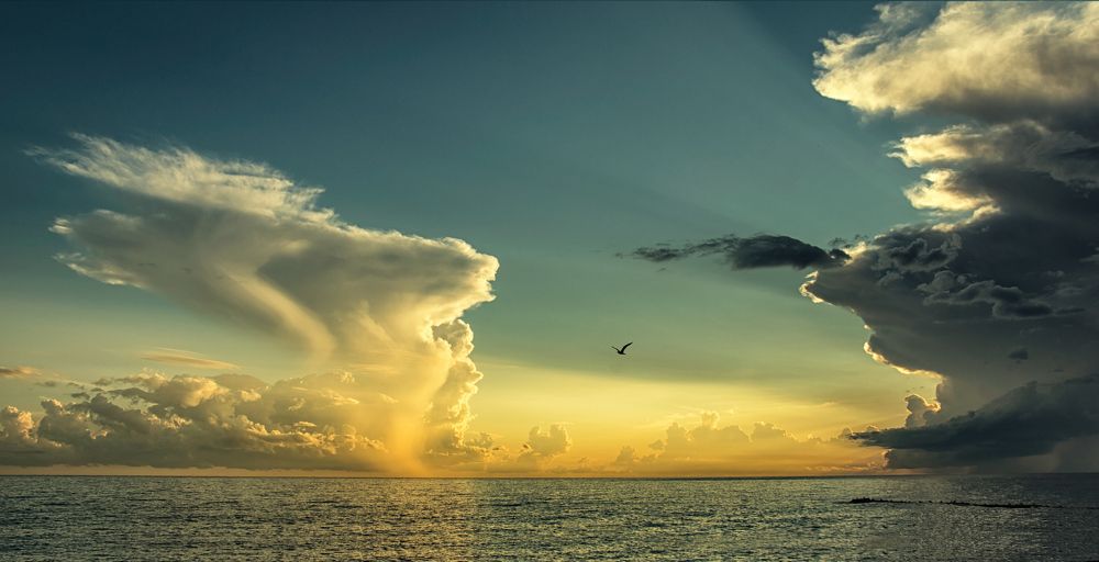 Ночной дозор