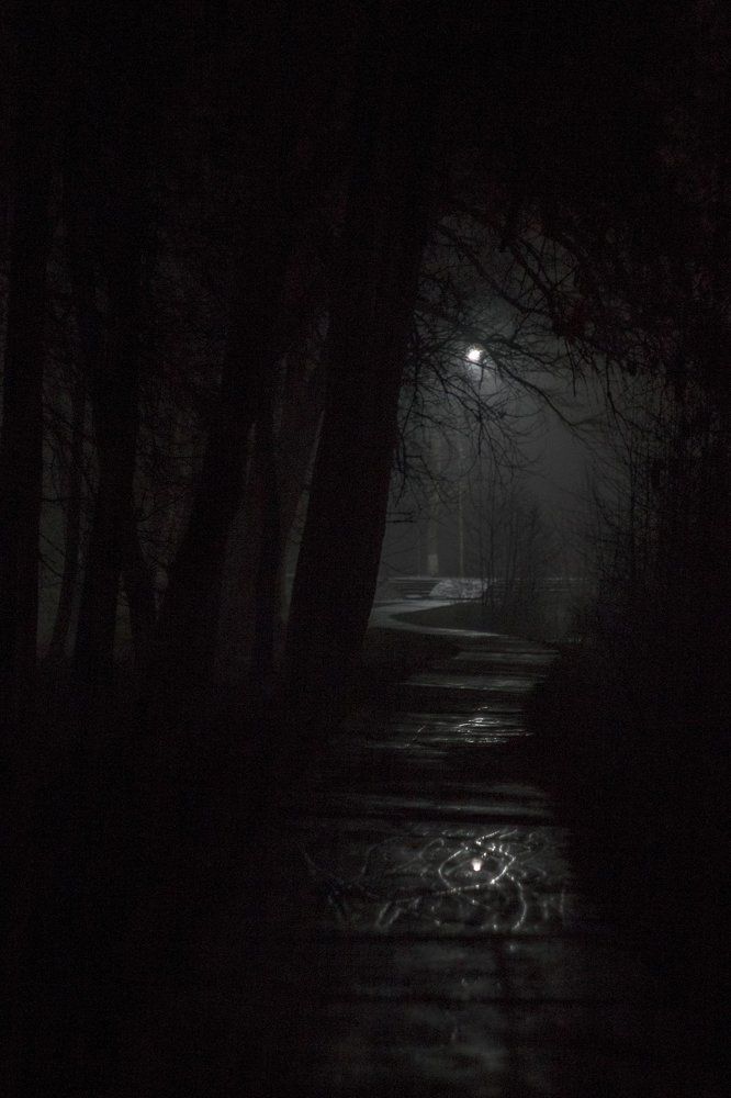 Лунная тропа