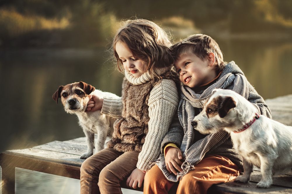 Осенний вечер