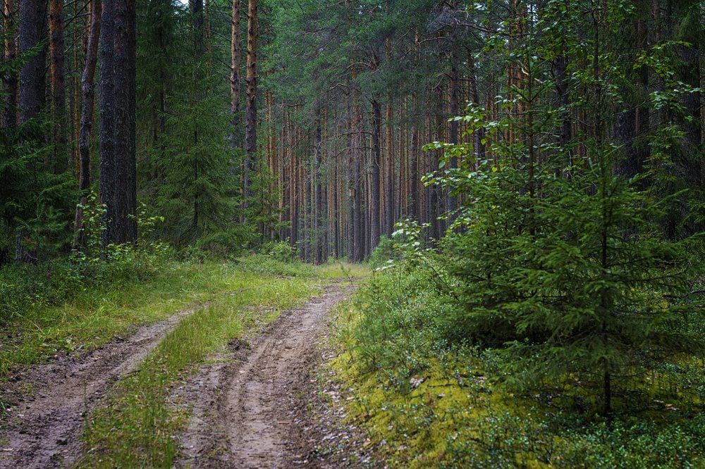 К заветным местам.