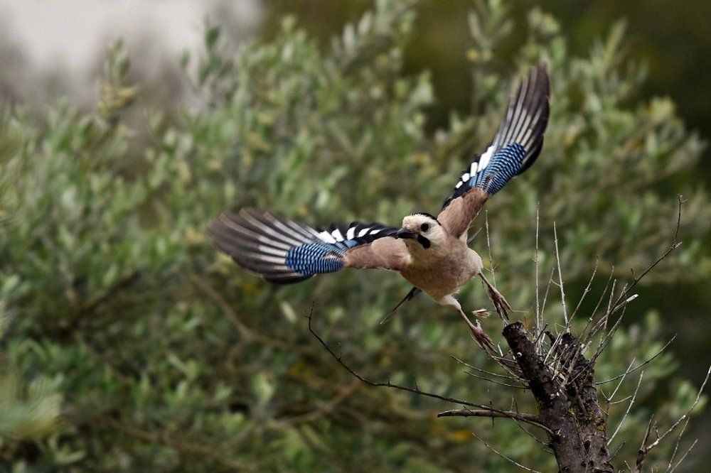 Смотрю на мир.