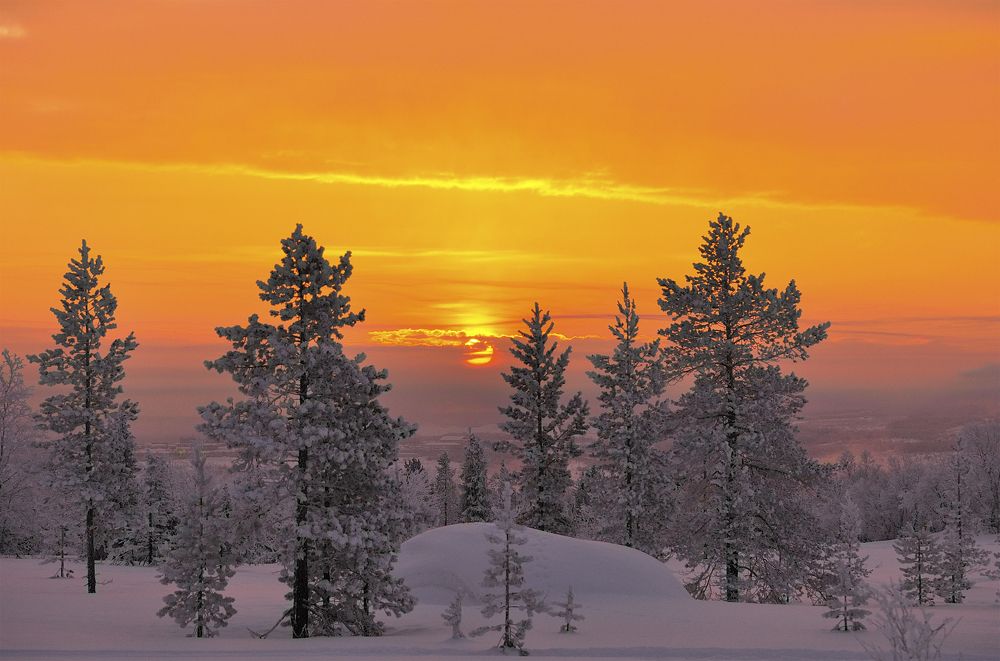 Золотой рассвет