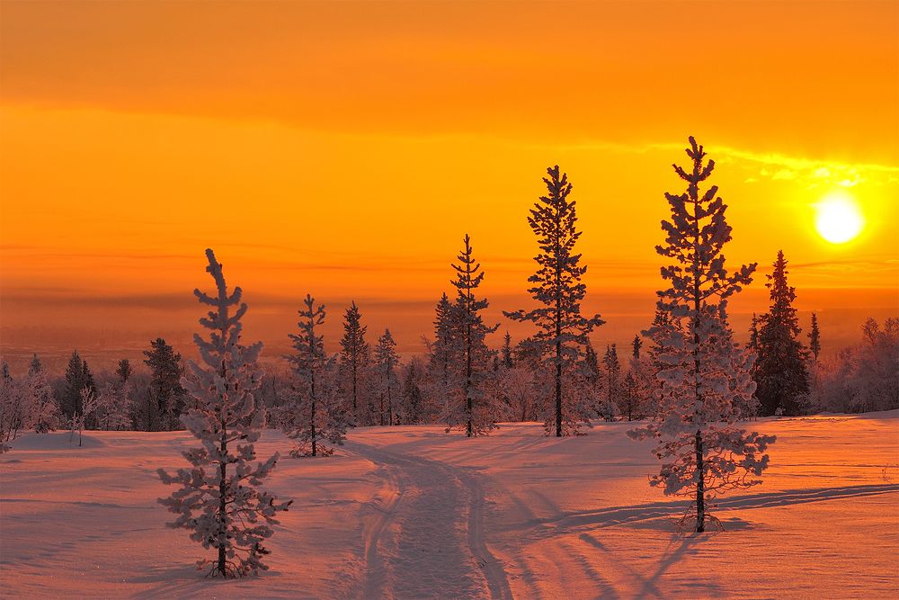 Зимнее утро