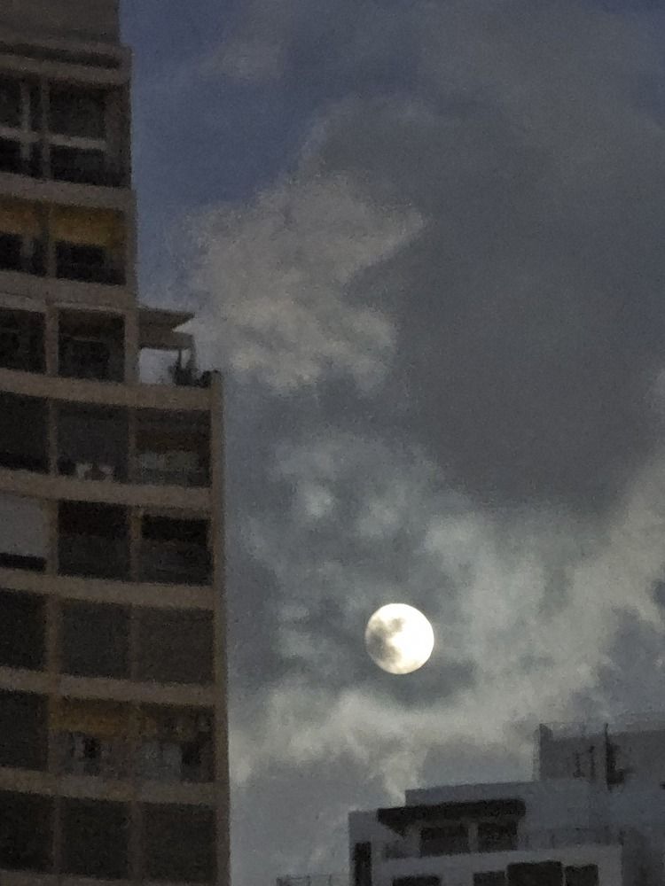 Фотография автора Oksana Podgorodetska