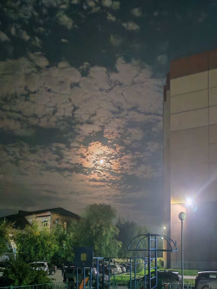 Photograph by Альбина