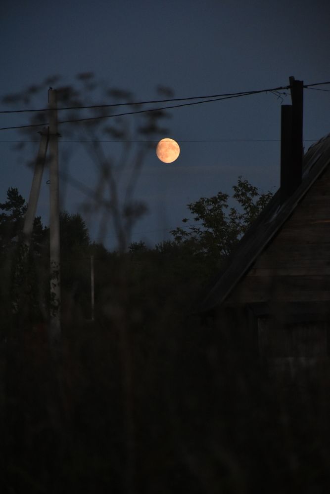 Photograph by Ольга Булдакова