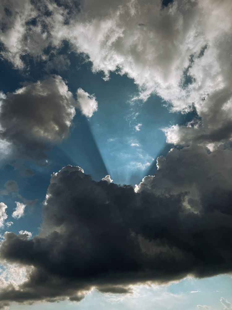 Photograph by Светлана Долганова